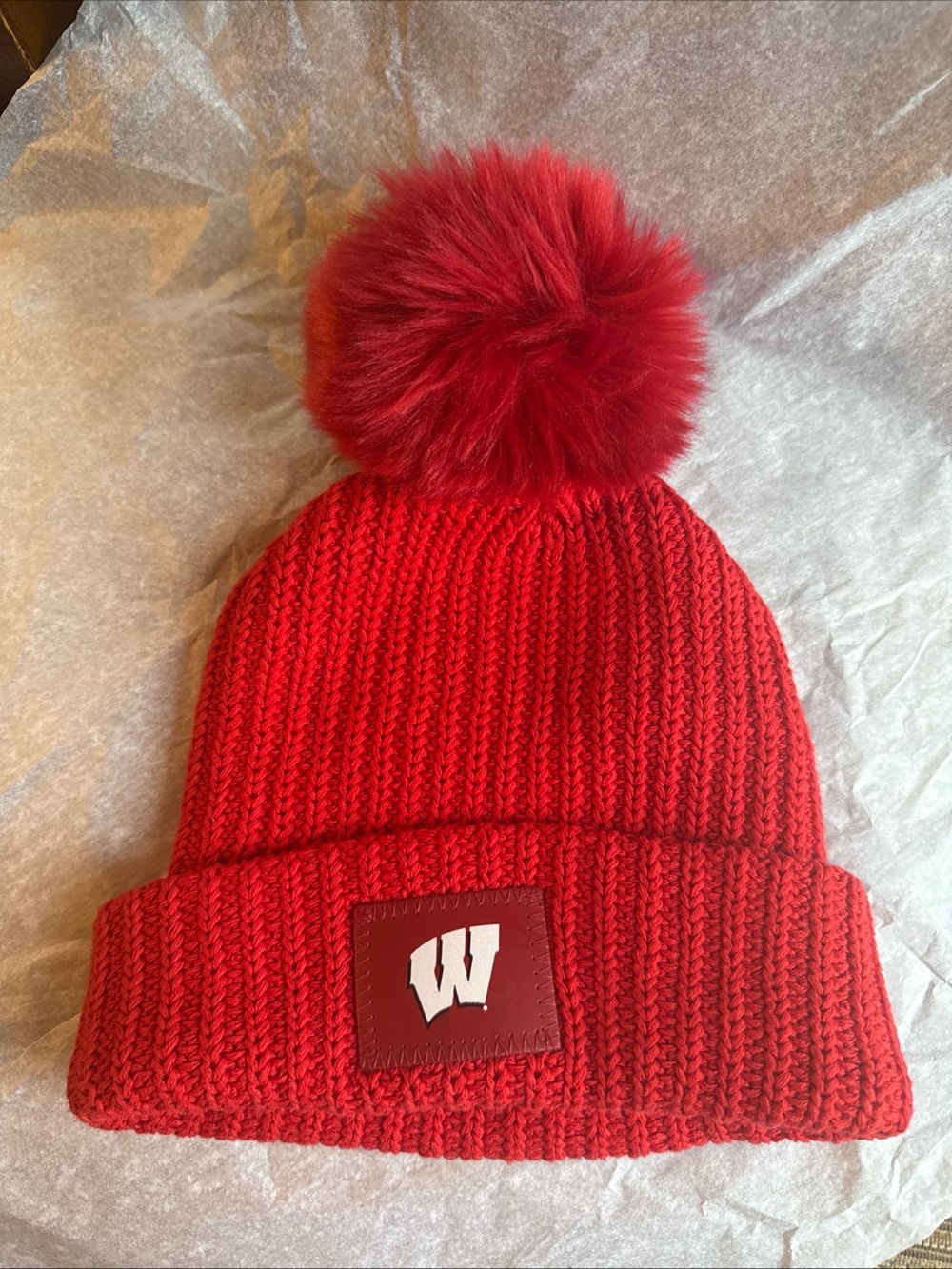 Wisconsin Badgers Women’s Pom Pom Beanie NCAA by Love Your Melon